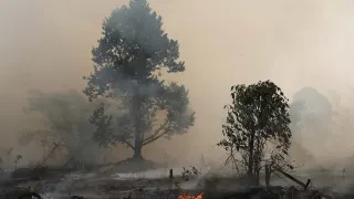 BNPB Intensifkan Penanganan Kebakaran Hutan, Kamera Thermal Dikerahkan