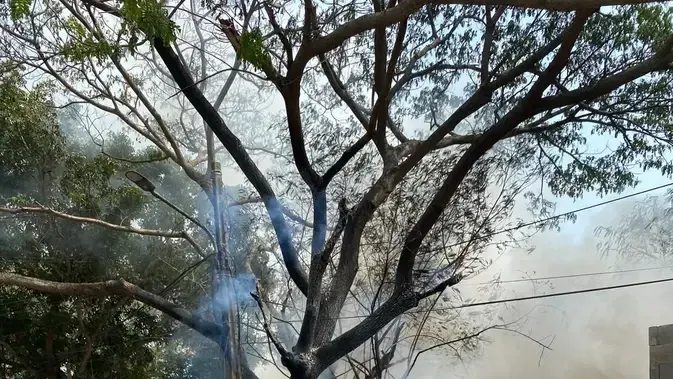 Kelalaian Membakar Sampah Picu Kebakaran Warung dan Mobil di Tangerang