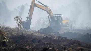 Hanura Dorong Sanksi Tegas Pelaku Karhutla, Sorot Asap Sampai Malaysia