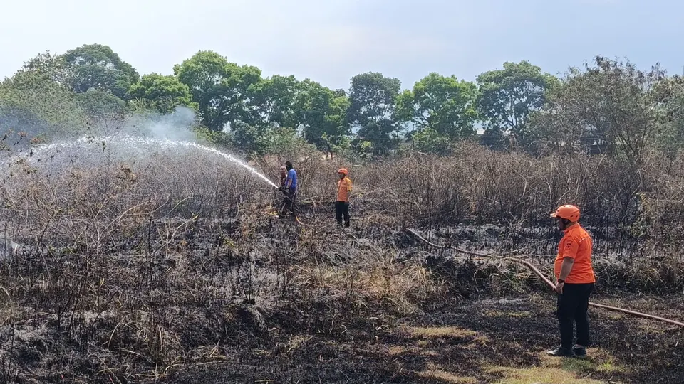 Kebakaran Lahan di 5 Titik di Cianjur, Kawasan Seluas 1.550 m2 Hangus