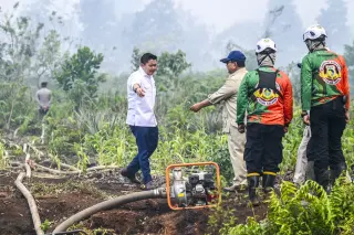 Pemerintah Tegaskan Penegakan Hukum dan Selidiki Empat Korporasi Terkait Karhutla di Kalimantan