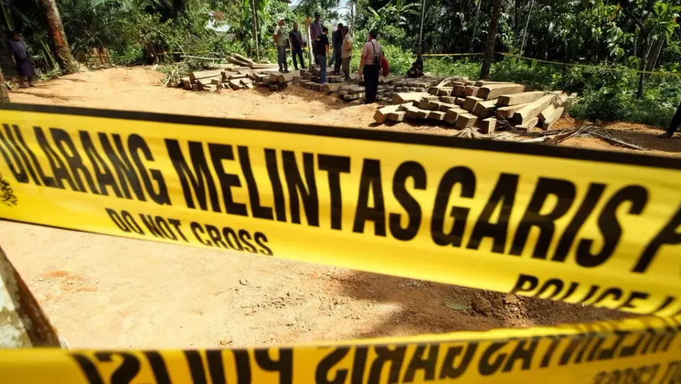 Kemenhut Tangkap Buron Pemodal Illegal Logging di Kalteng