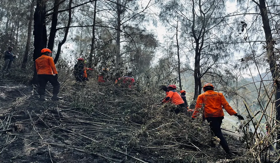Area Terdampak Kebakaran di Bromo Capai 899 Hektare, Pemadaman Darat dan Udara Diperkuat