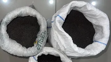 Polda Metro Jaya Ungkap Penyelundupan 150 Kg Pasir Timah Asal Bangka Belitung di Tanjung Priok