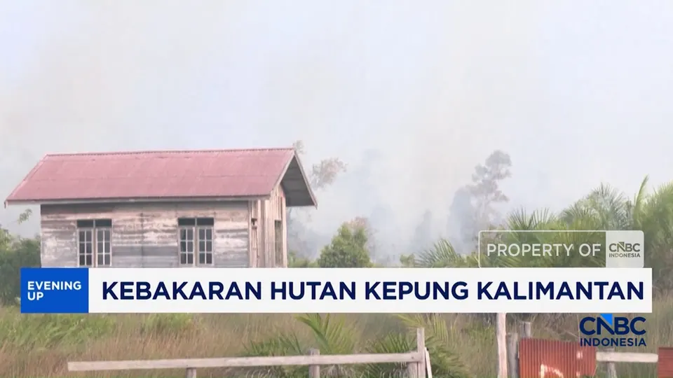 Titik Merah Kebakaran Parah Penuhi Peta Kalimantan di Aplikasi Google Maps