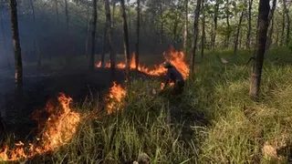 Karhutla di Bangka Tengah Capai 118 Hektare, Kawasan Jalan Koba-Kurau Paling Rawan