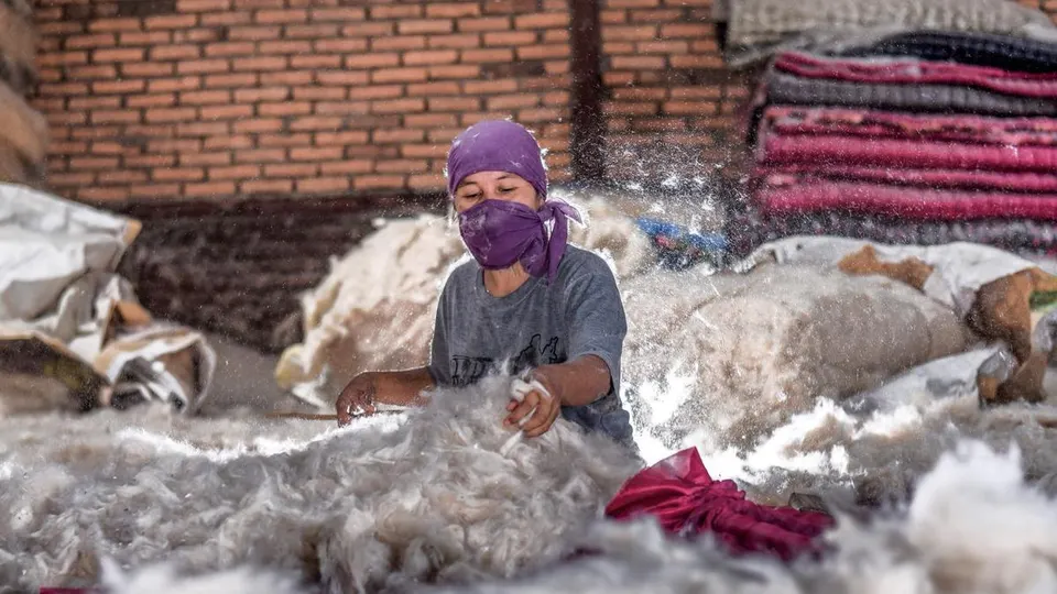 Panduan Lengkap KUR BRI 2025, Syarat Pengajuan, Jenis Pinjaman, dan Skema Suku Bunga Resmi