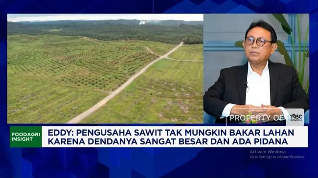Kemarau Bikin Sungai Kering, Distribusi CPO dan Pembelian TBS Petani Terganggu