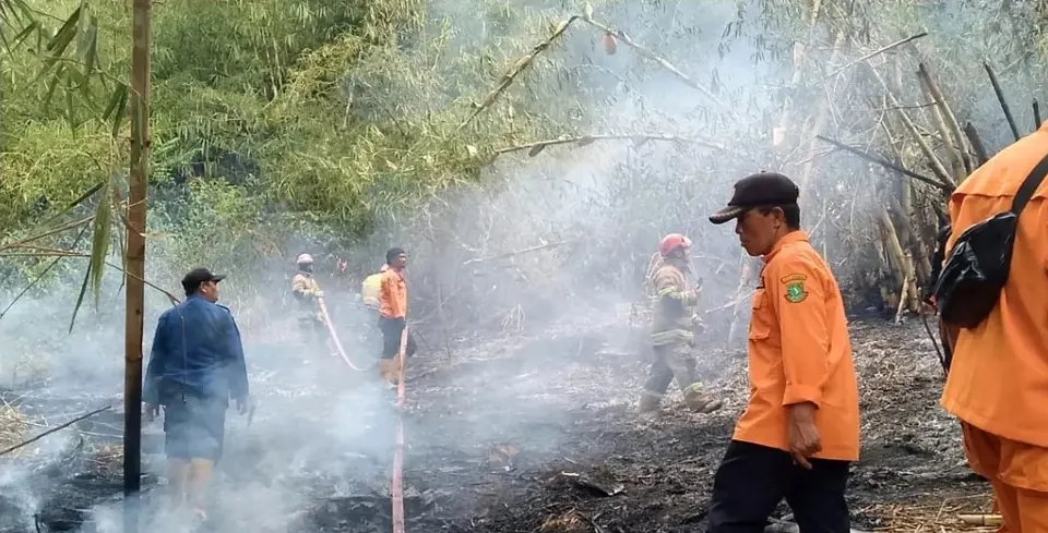 BPBD dan Damkar Kota Sukabumi Sinergi Tangani Kebakaran Lahan di Cikundul