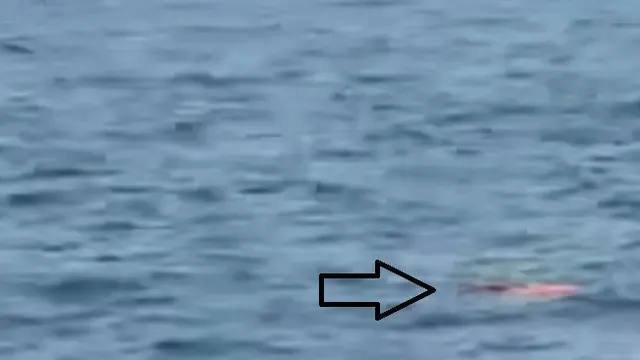 Ini Penampakan Pelampung dan Buoy Ditemukan Kapal TNI di Selat Sunda
