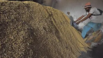 BPS Catat Kenaikan Harga Beras Premium di Penggilingan Mencapai 10 Persen