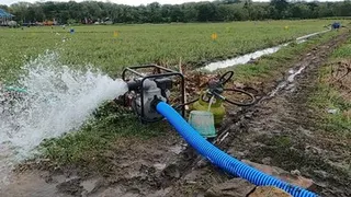 Kementerian Pertanian Siapkan Puluhan Ribu Pompa Air untuk Mitigasi Kekeringan 2026