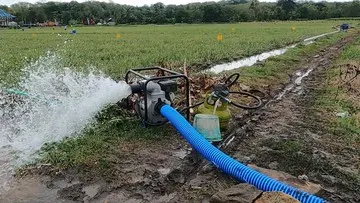 Kementerian Pertanian Siapkan Puluhan Ribu Pompa Air untuk Mitigasi Kekeringan 2026