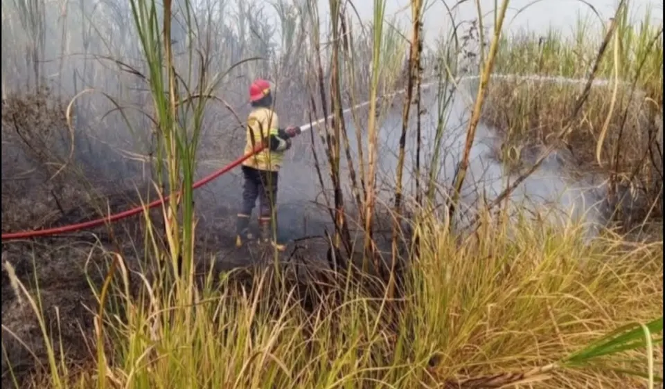 Kebakaran Lahan 1,2 Hektare di Batang, Asap Sempat Ganggu Tol Batang-Semarang