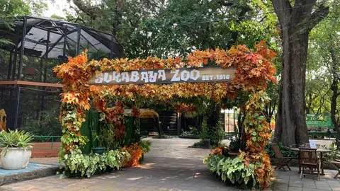 Skandal Anggaran Pakan dan Standar Ideal Kesejahteraan Satwa di Kebun Binatang Surabaya