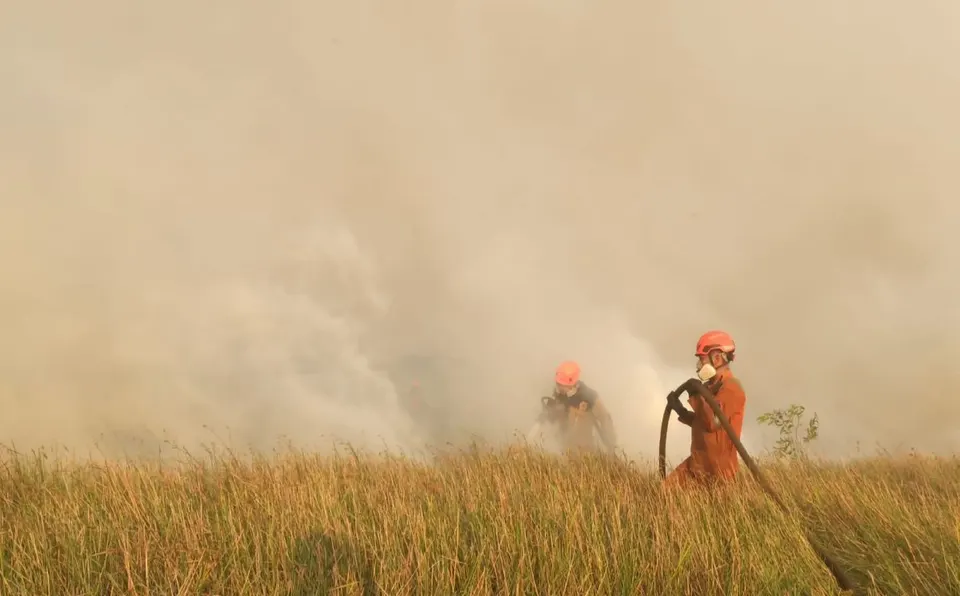 Kebakaran Hutan Hebat di Aljazair, 73 Orang Meninggal Dunia