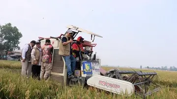 Stok Beras Bulog Capai 5,25 Juta Ton di Seluruh Gudang Indonesia