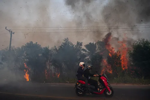 Ancaman Kebakaran Hutan dan Gelombang Panas Terhadap Kualitas Udara Global