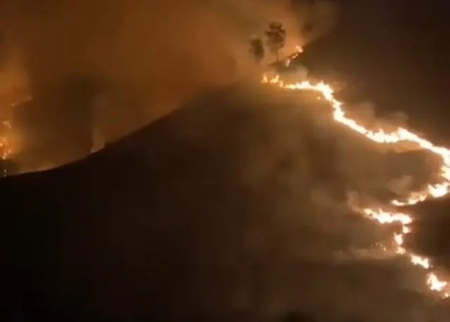Gunung Bromo Terbakar Lagi, Api Lahap Savana Pengol