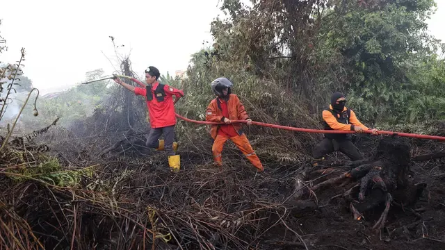 Prabowo Dapat Laporan Lahan Terbakar Jadi Kebun Sawit, Ancam Cabut Izin dan HGU Korporasi