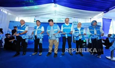 GEET Pulau Rengit Resmi Beroperasi, Dorong Aktivitas Ekonomi Berbasis Energi Hijau