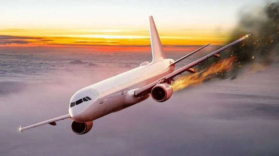 Pesawat Boeing 737 American Airlines Mendarat Darurat di South Carolina Usai Tabrak Burung