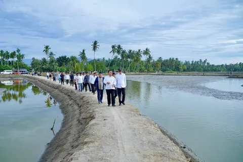 Upaya Pemulihan Tambak Pasca-Bencana Membuka Harapan Baru bagi Petambak Aceh