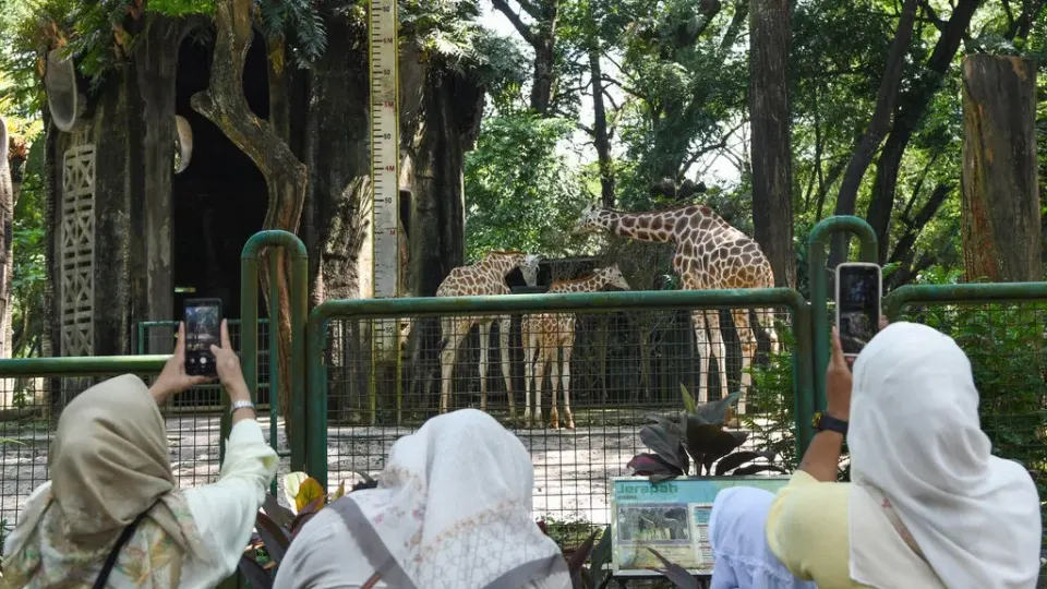 Tarif Masuk Ragunan Diusulkan Naik Jadi Rp10 Ribu, Ini Alasannya