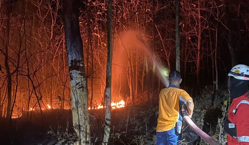 Kebakaran Landa Hutan Jati di Wilayah Kebumen, Api Sempat Mendekati Permukiman