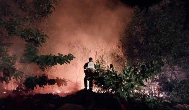 Presiden Prabowo Instruksikan Edukasi Karhutla hingga Tingkat Bawah dan Penguatan Fasilitas Lahan Tanpa Bakar