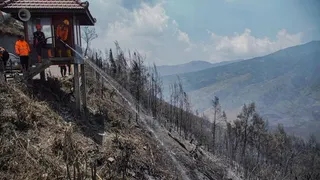 Karhutla di Sejumlah Gunung Jatim Belum Padam, Wisata Ditutup