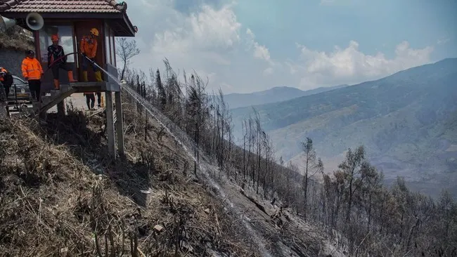 Karhutla di Sejumlah Gunung Jatim Belum Padam, Wisata Ditutup