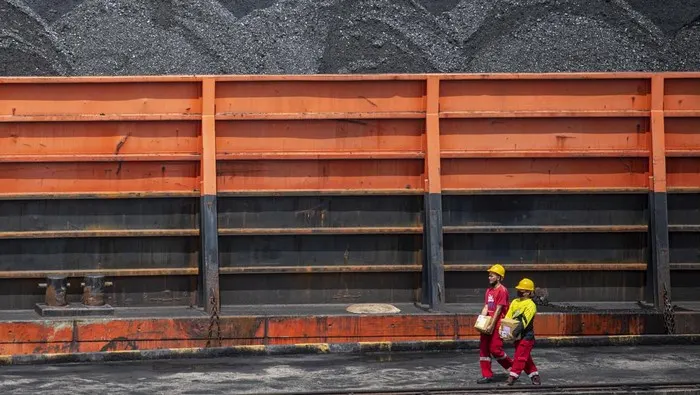 PTBA Curhat DMO Batu Bara Kegedaan, Laba Tergerus Rp 14,5 Triliun